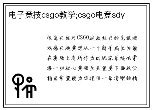 电子竞技csgo教学;csgo电竞sdy